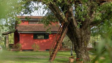 La Casa Rossa nell’Oasi verde - Foto 2