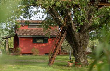 La Casa Rossa nell’Oasi verde - Foto 2