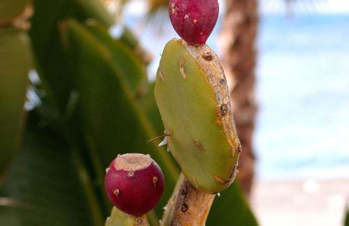 Le Villette - Foto 45