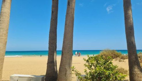 Beachhouse La Palma - Photo 4