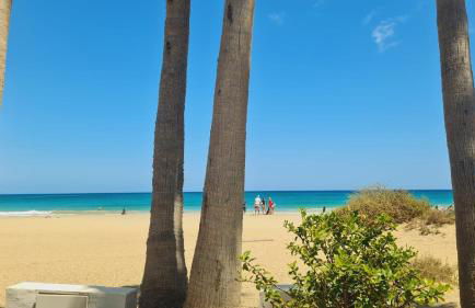 Beachhouse La Palma - Foto 4