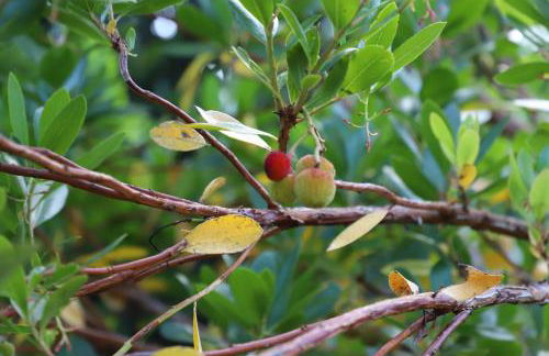 Mar D'Abstração - Photo 50