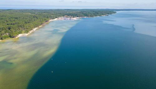 Chalet cosy entre lac et dunes, 4 pers. – Proche plages, centre, activités - Ménage inclus - FR-1-319-534 - Foto 2