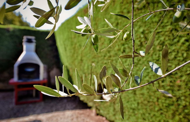 I Cinque Trulli with Swimming Pool - Foto 33