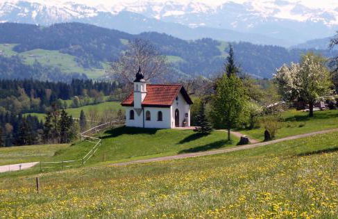 Ferienwohnung Pickenhan - Foto 24