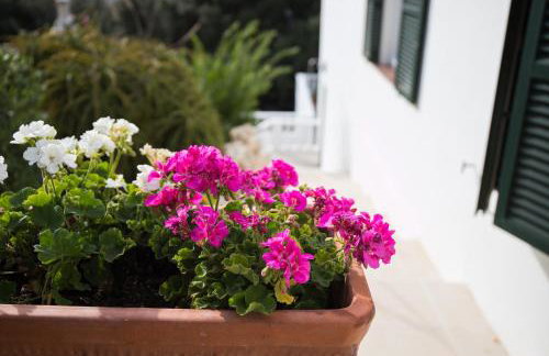 Apartamentos Gama - Photo 46