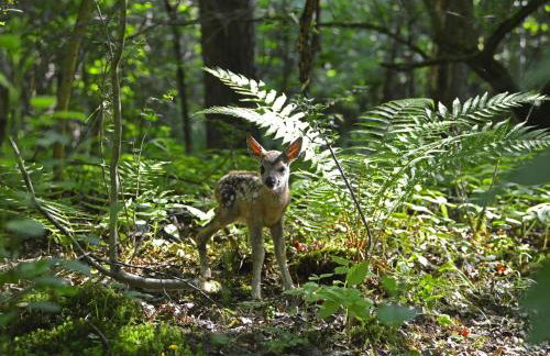 Biobetrieb Lippenhof - Photo 19