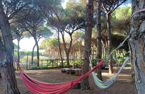 The PineForest Cabin - Foto 26