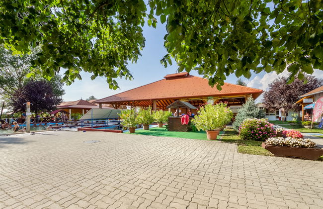 2 bedroom House in Buzsák with garden and terrace - Photo 10