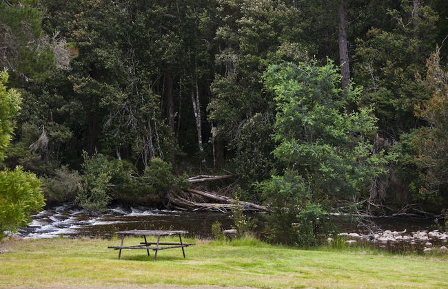 Tyenna River Cottage - Foto 17