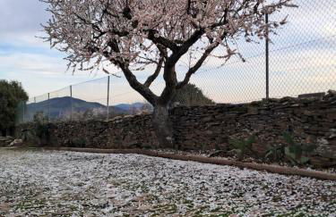 Quinta Alto da Fraga - Foto 20