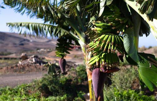 Finca Arbequina - Photo 72