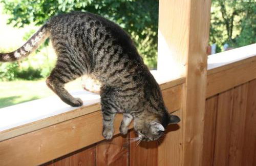 Schönhaar Schwenden 2 - Photo 23