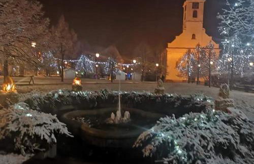 Studio apartman CENTAR - Foto 48