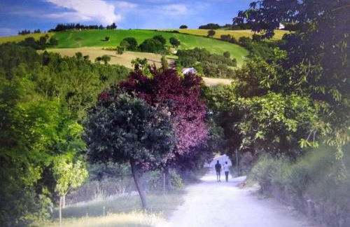 Oasi delle Gazze - Foto 36