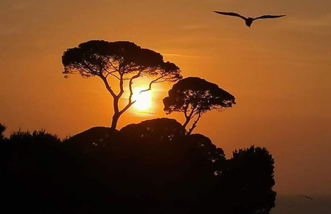 Residence L'Incanto Sorrento - Foto 78