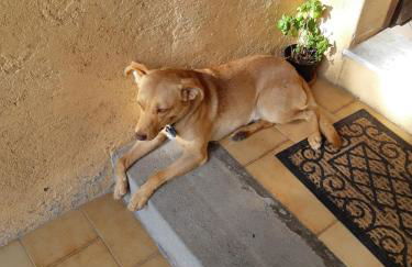 Agriturismo Podernuovo - Foto 61