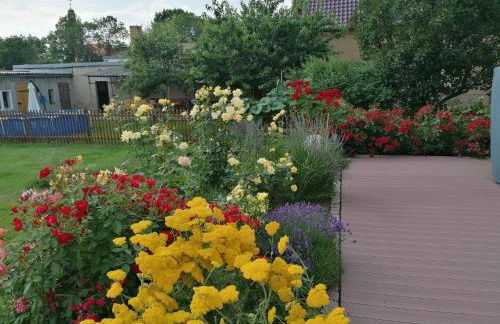 Ferienwohnung Störmthaler See - Foto 17