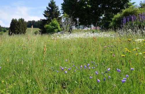 Das Ferienhaus mit lichtem 85m² Studio - Foto 28