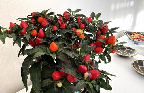 Dimora Cabiria - Foto 75