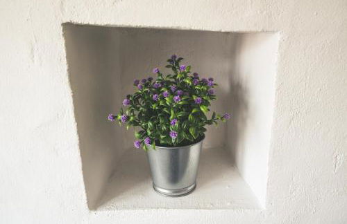 Casas da Faia - Nature Guest House - Foto 44