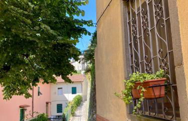 Il Gatto Nero - Foto 18