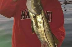 Paradise Cove at Lemon Bay - Foto 30