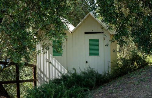 Luxury Green Marignana Villa, Versilia, Pool, Ac, Sauna - Foto 70