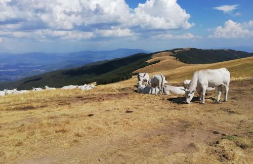 Il Rifugio di Vale - Foto 25