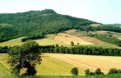 Agriturismo Fattoria Aquilone - Foto 71