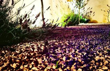 Villa La Merion - Foto 32