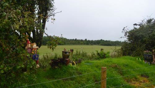 Peaceful Shepherd's Hut next to Horse Field - Foto 4, Garden view