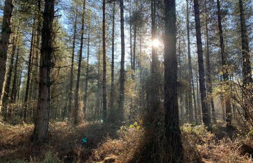 Silverstone Golf Club And Hotel - Foto 25