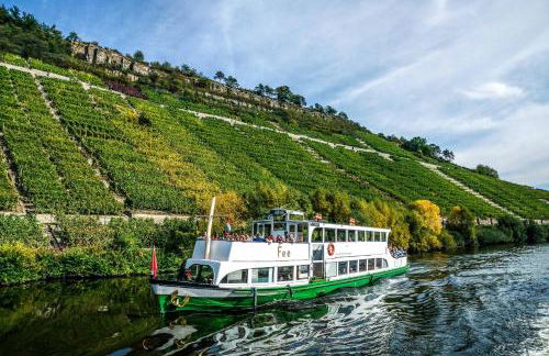 Charmantes TINY HOUSE Apartment in Besigheim mit Gartenblick und zentrale Lage - Foto 26