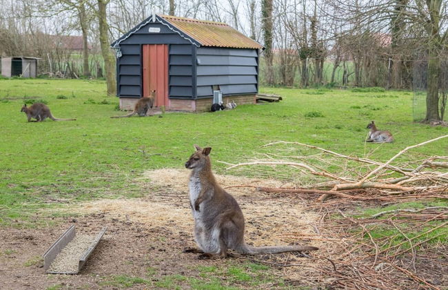 Apartment Near the Beach - Photo 39