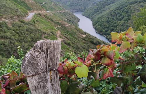 Ribera Sacra ( apartamento Rural ) - Foto 19