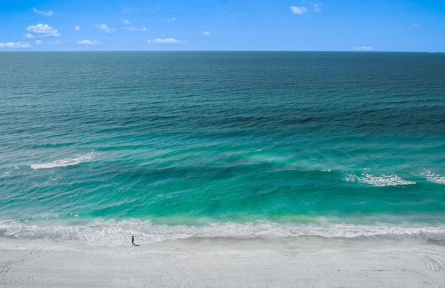 Kingston Arms Modern 1BR On Lido Key - Foto 28