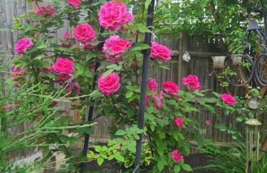 2 Bedrooms free parking South of Boston Quincy - Park view - Foto 24