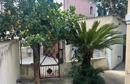 A Due Passi da MicheIino - Photo 19