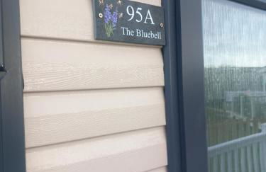 The Bluebell - Foto 25