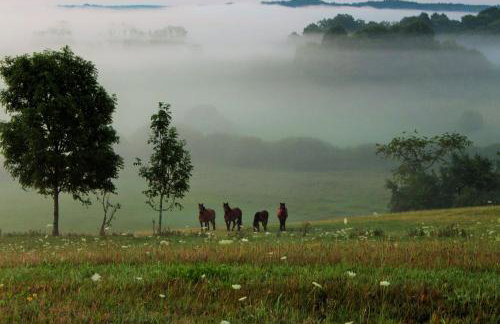 Pojezierze Drawskie Agroturystyka Greanna - Foto 54