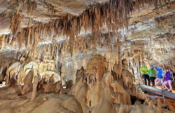 Hermoso Caserío Navarra. (Madoz) - Foto 22