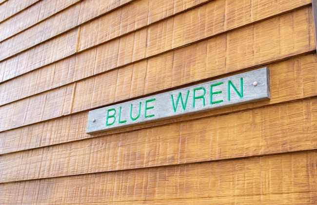 Noble River Estate - Photo 63