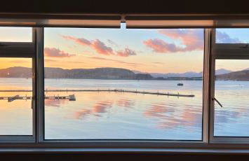 Island View - Foto 21