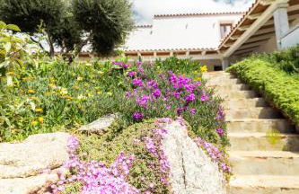 Agriturismo Bed and Breakfast Tanca Taroni - Foto 9