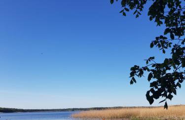 Siedlisko Jelonki - Foto 41