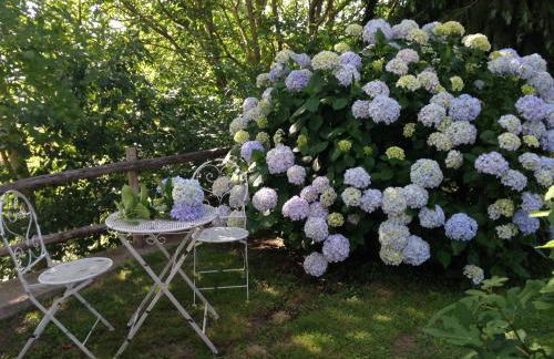 Agriturismo Renaccio - Foto 36