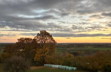 Holzliebe mit Donaublick - Foto 26