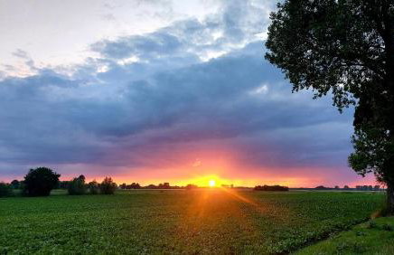 Siedlisko Tafle - Photo 21