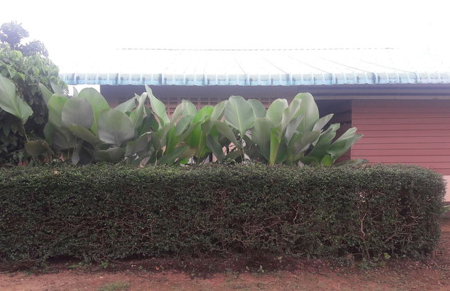 Ramidahost2 - Photo 20